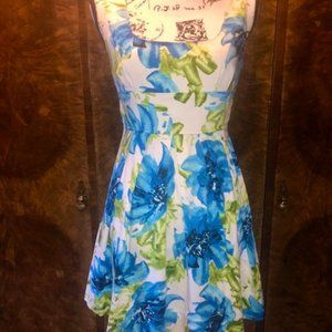 Alyn Paige New York Blue & Green Floral Mini Dress